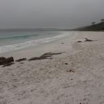 Hyams Beach